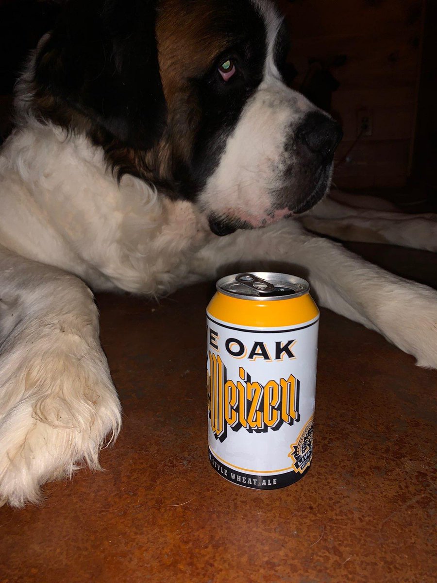 BrewStubs's tweet photo. Atlas the @BrewStubs dog is enjoying a #BeeratHome. You too should consider supporting your local brewery and buying #beertogo this week ready for the #NationalCheers campaign. Cheers y'all! https://t.co/nvRBXUFvB4
