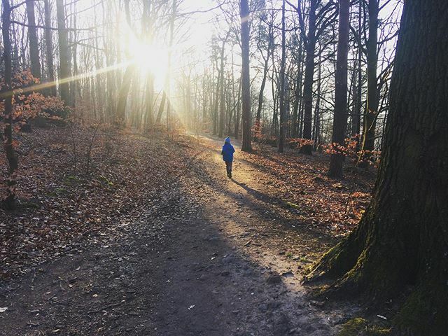mmdecin's tweet photo. Kváďák právě teď! #kvadak #kvadrberk #labskykanon #labak #rozcnicka #behanisdetmi #vychodslunce #zimajakovrusku #idecin #decin #decinjebozi #branadocech #severnicechy #usteckykraj #bohemianswitzerland #böhmischeschweiz #ceskesvycarsko #sudetymountains #v… https://t.co/aN9QaP2ANU https://t.co/vwVrJY98K1