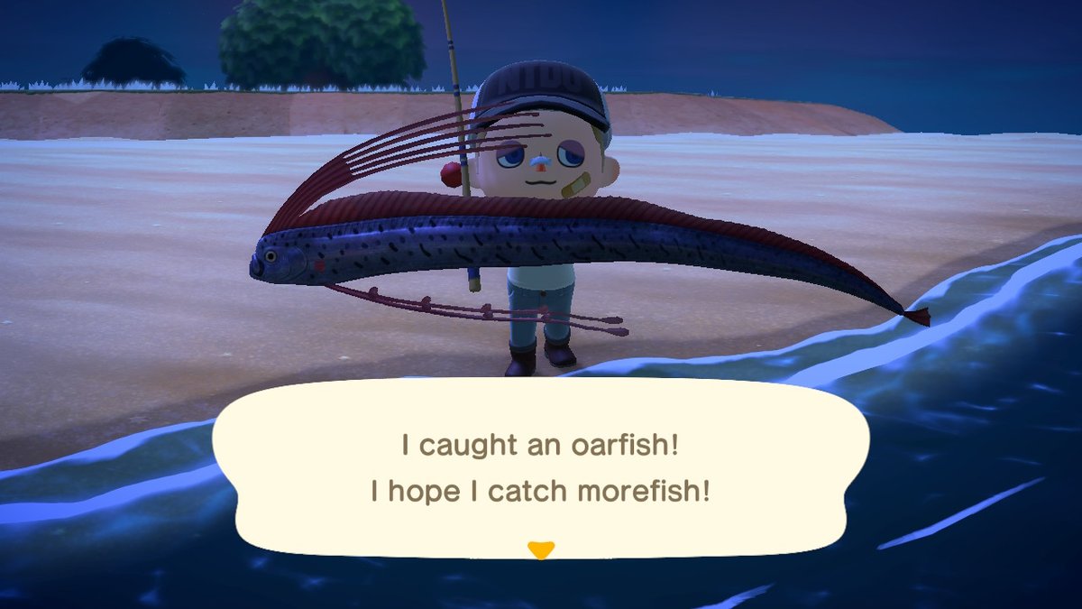 SmoogMann's tweet photo. yoooooooooooooooooooo #AnimalCrossing #ACNH #NintendoSwitch https://t.co/6RyOsTzs23