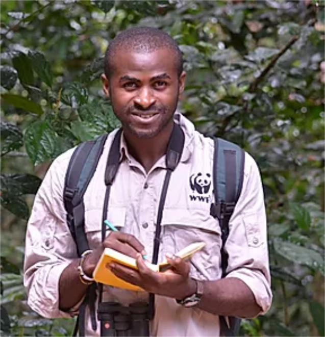 More of our #projects
#Kom #Forest
Creating an #environmental #club for local pupils. We support local #schools by providing environmental courses
#Sekakoh
sekakoh.org/kom-forest-obj…