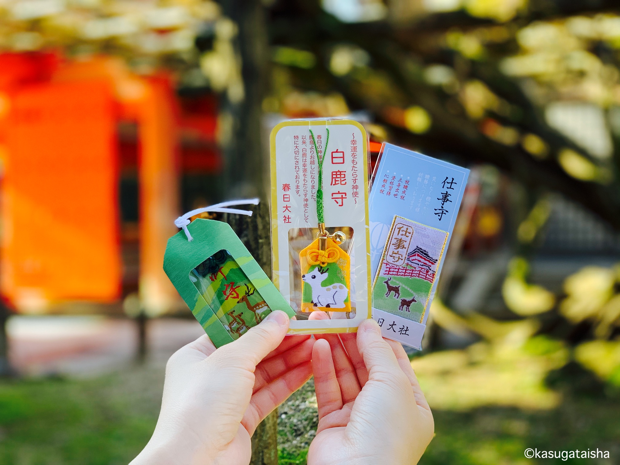 春日大社 Kasugataisha Shrine 公式 お守り 先日 白鹿みくじ をご紹介しましたが 神様のお使いである鹿が描かれたかわいいお守りもございます 願いを叶える御守 叶守 かなうまもり 幸運をもたらす神使 白鹿守 しろしかまもり 就職