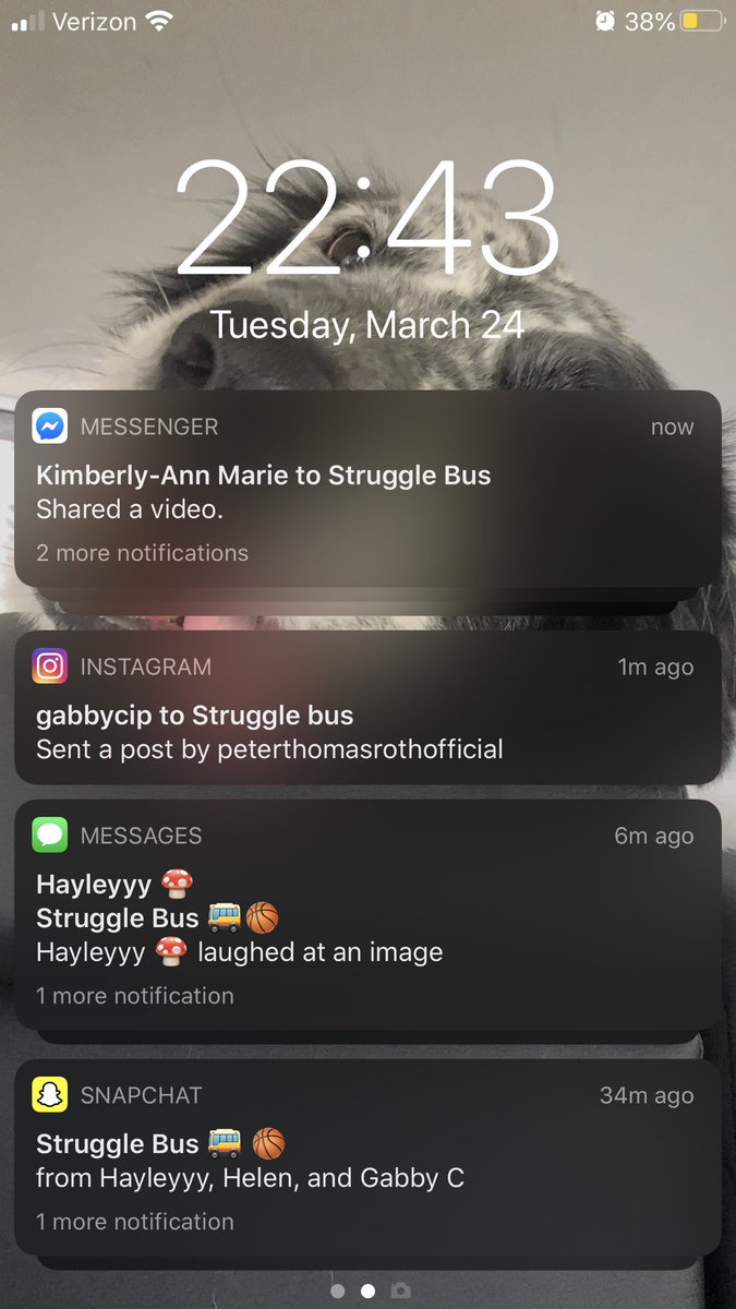 kyra_steph's tweet photo. Quarantine made my friend group rediscover communication on all social media platforms https://t.co/hRSvCDZ4to