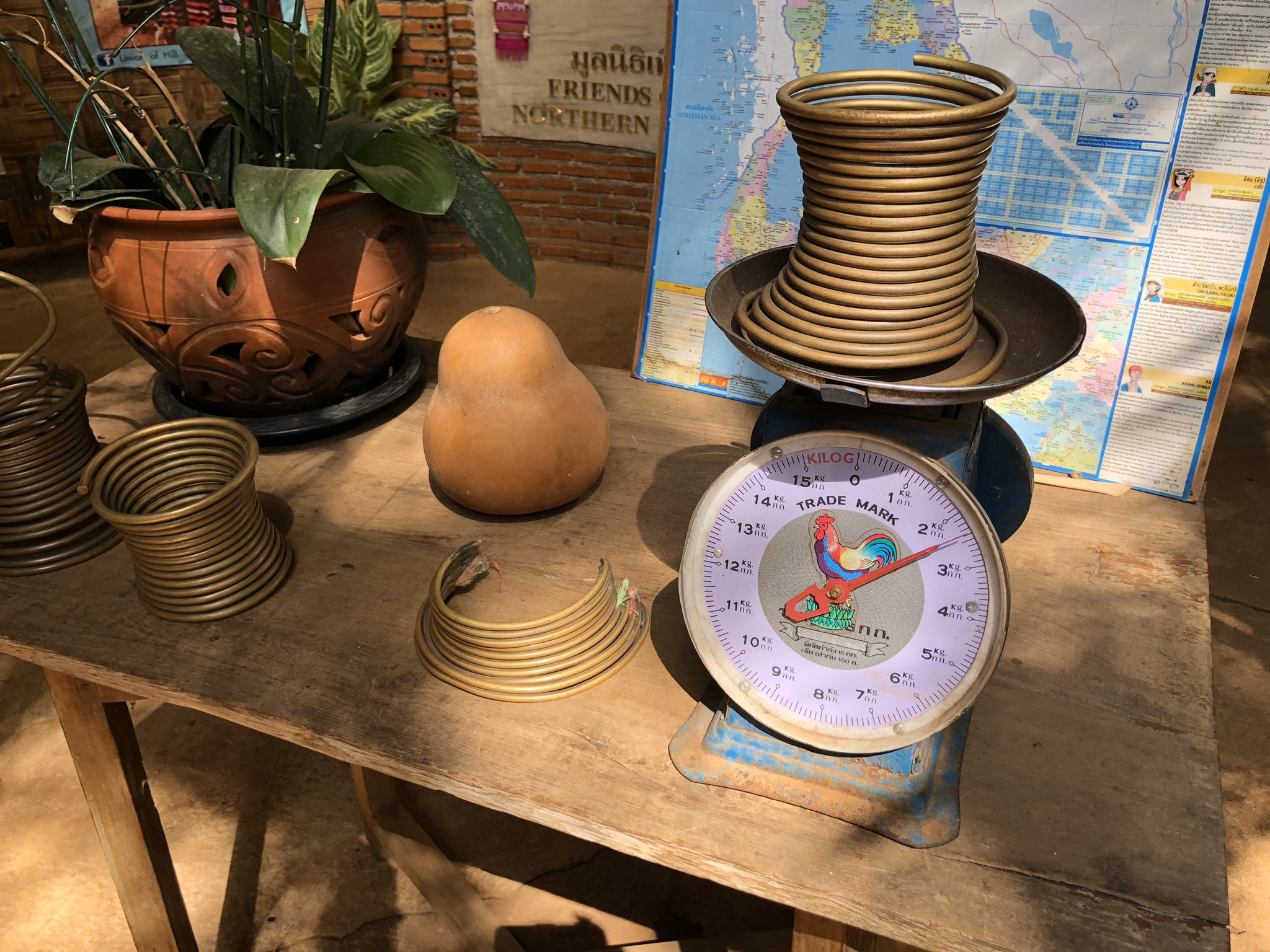 旅くま 首長族は首が長いと思われがちですが 首に着ける輪が長い年月をかけて肩の筋肉を下げていくことでそう見えるだけです 要は 究極のなで肩です 旅くま 首長族