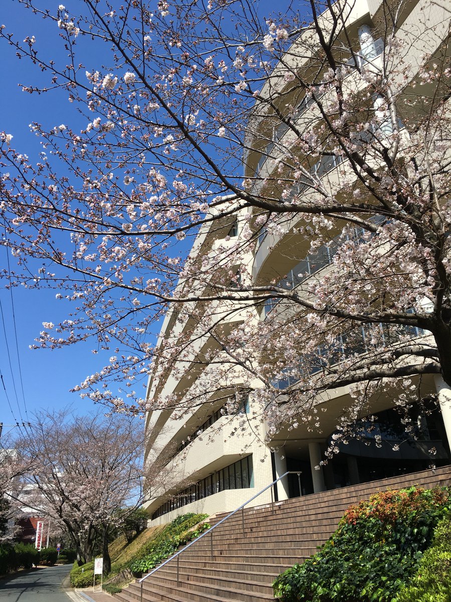 福岡 日本 経済 大学