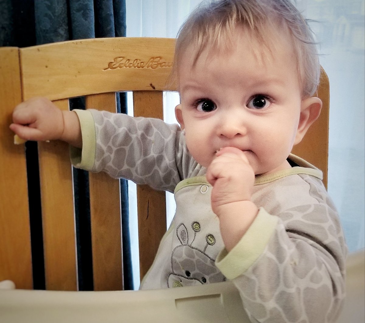 andreapearson2's tweet image. Baby Eli munches on some Brazilian cheese bread from Tucanos. So glad our location offers curbside pickup! It totally hit the spot during all the insanity. If you haven't had food from @TucanosUSA, you're seriously missing out. Give them a call and order some now. ♥️♥️