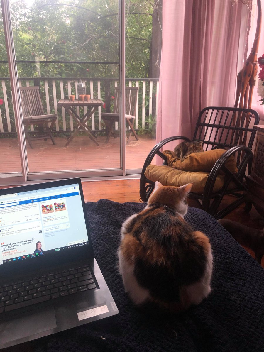 SophiaAnasta1's tweet image. Studying during the coronavirus pandemic.
#utsjournalism #socialdistancing