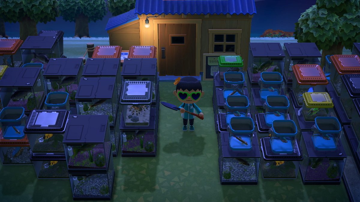 EricToe's tweet image. #AnimalCrossing #ACNH #NintendoSwitch