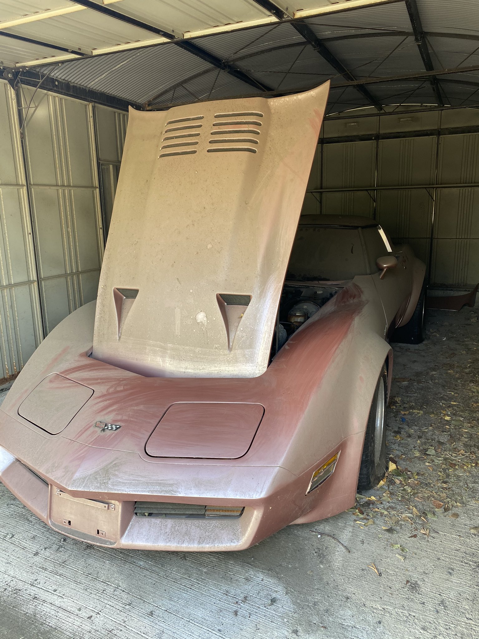 Chozen Lee Auf Twitter この車を蘇らせる企画したいのですが Pimp My Rideみたいな事 どなたかいません Corvette Stingray 1987 登録抹消済み 最後に動かしたのは5年前 現状バッテリーが上がってる為 エンジンかかるかは不明 動かし Chozen Lee Auf Twitter この車を蘇らせる企画したいのですが Pimp My Rideみたいな事 どなたかいません Corvette Stingray 1987 登録抹消済み 最後に動かしたのは5年前 現状バッテリーが上がってる為 エンジンかかるかは不明 動かし