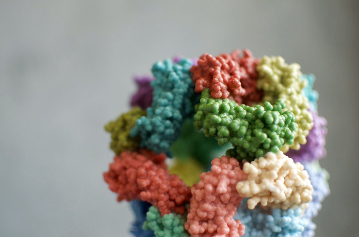 We're so grateful for our volunteer community:

• active users DOUBLED since late Feb 📈

• 4 of our 10 best compute days EVER occurred in the last — (wait for it) — 4 days 💻

Thank you for powering #coronavirus research! 

Join: boinc.bakerlab.org

p.s.— major news soon!