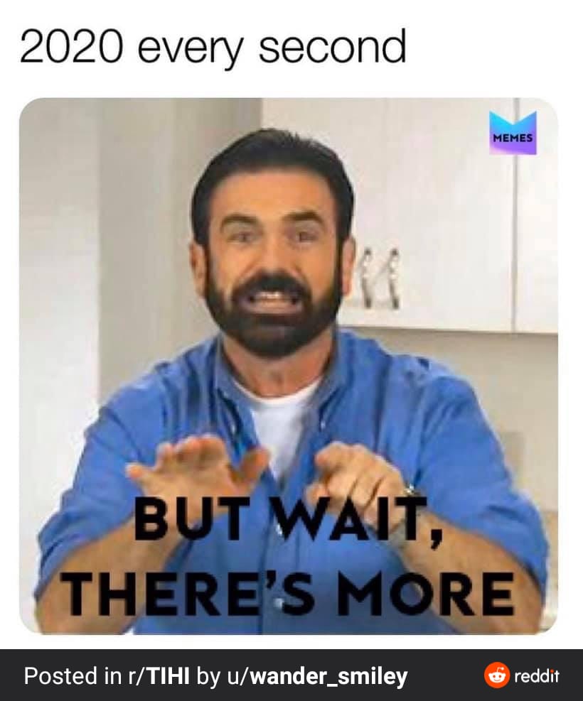 Memes From Twitter 2020 | MemeFree