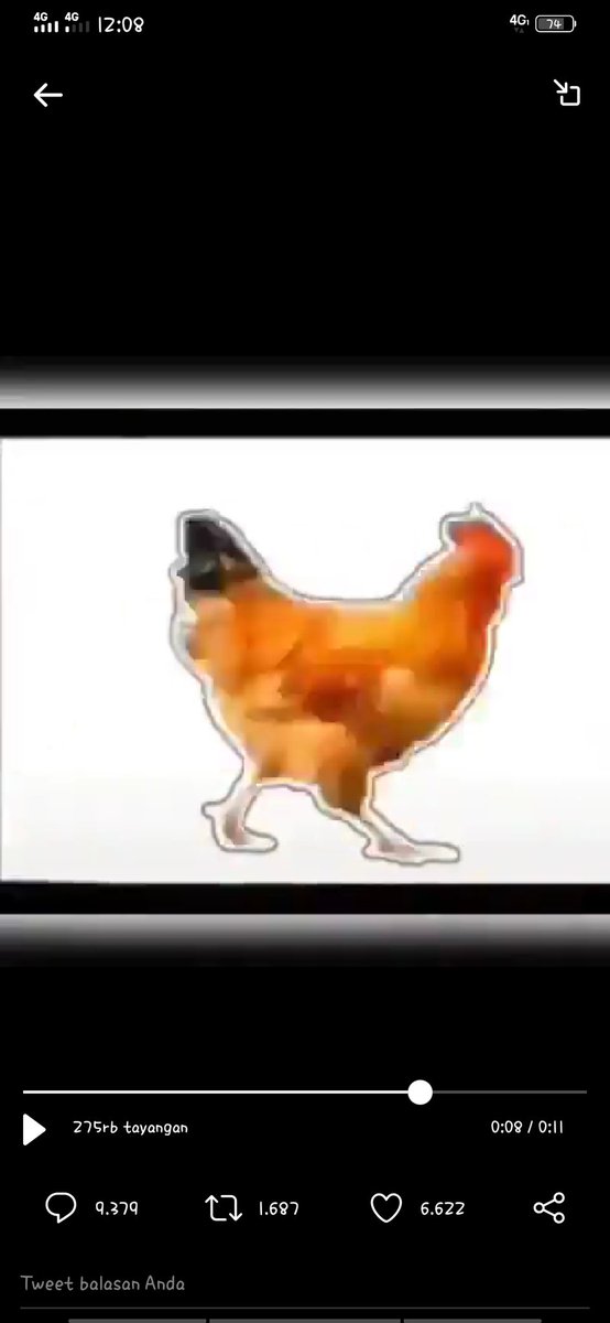 Percobaan pertama nih💃