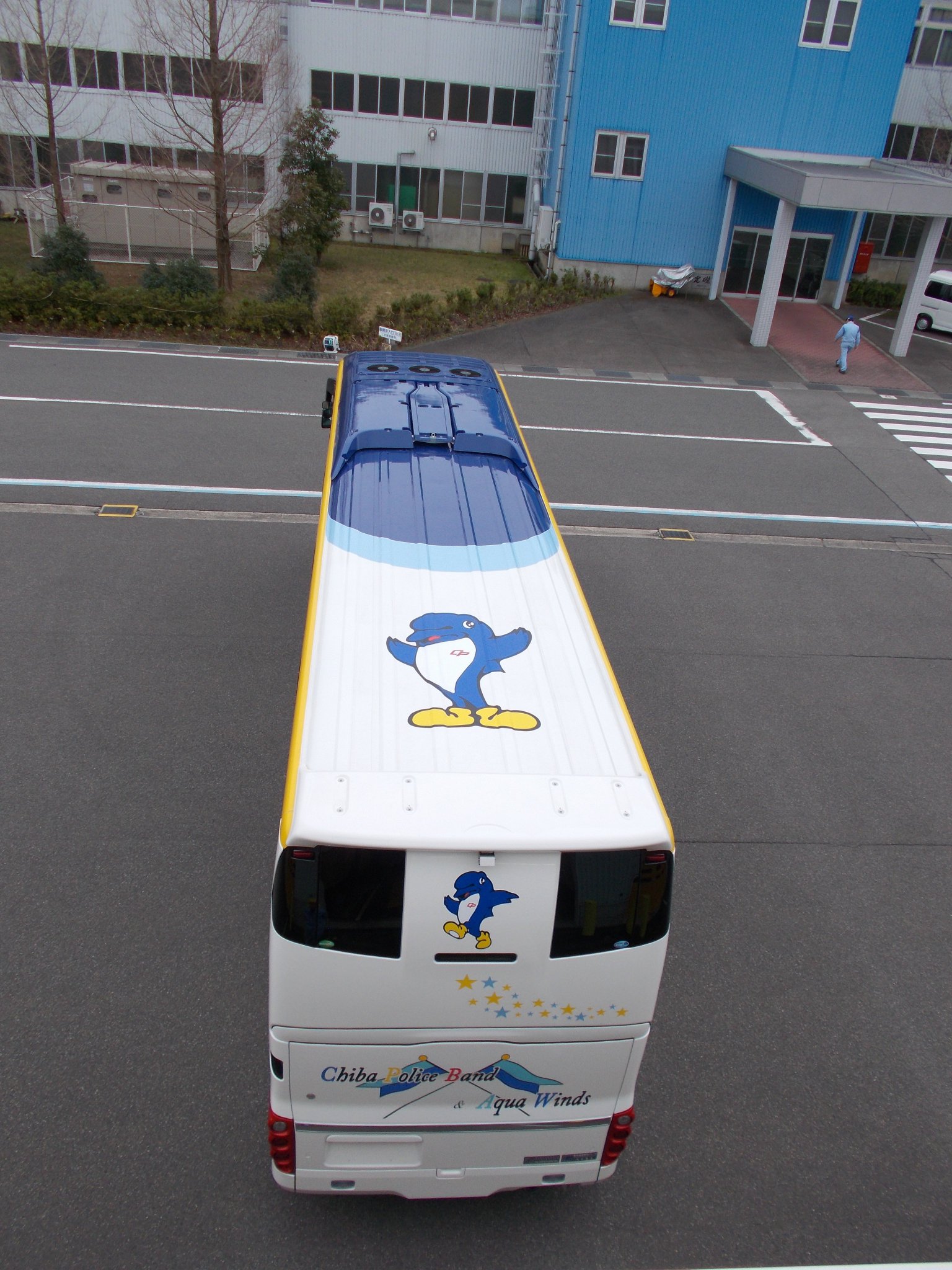 千葉県警察 V Twitter 音楽隊のバスが新しくなったよ ピアノの鍵盤や千葉県の花 菜の花 がデザインされた ステキな音色が聞こえてきそうなバスだよね 屋根にもボクの絵柄があるんだよ このバスでみんなの町にも