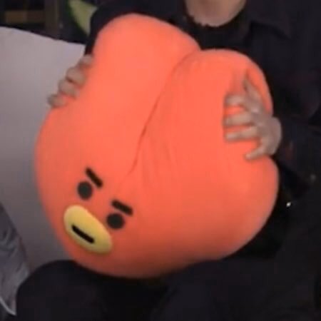 쪼꼬봇 tweet media