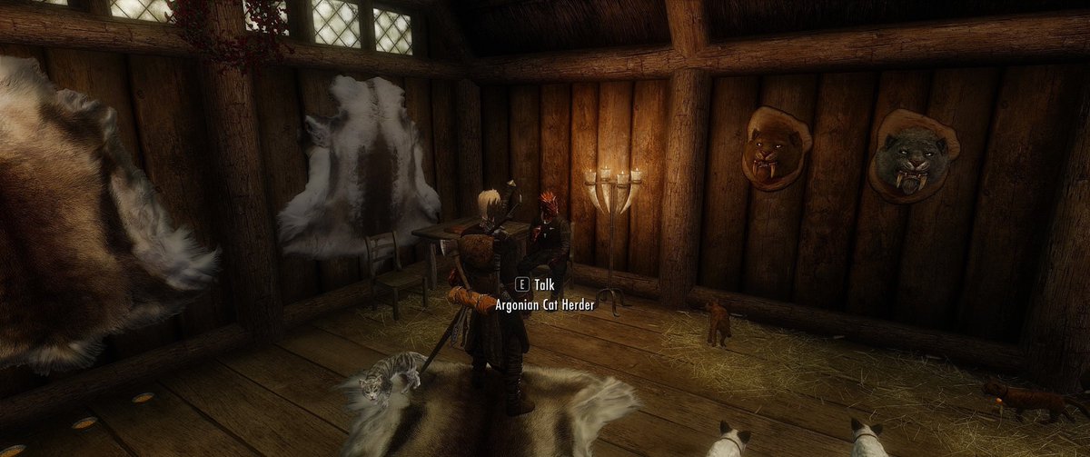 cats in skyrim mod