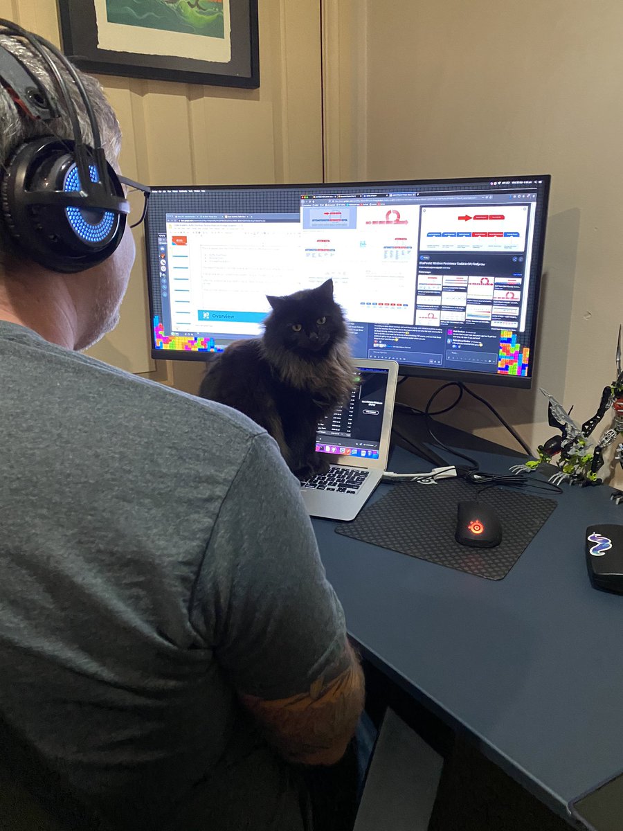 CodeTravelled's tweet photo. Working from home - a story in 4 frames 😂😂😂

#WFH #wfhwithCats #keyboardKitty #KeyboardCat #wfhsetup #WFH2020 #rateMySetup #sweetGirl https://t.co/lTZymz5MQq