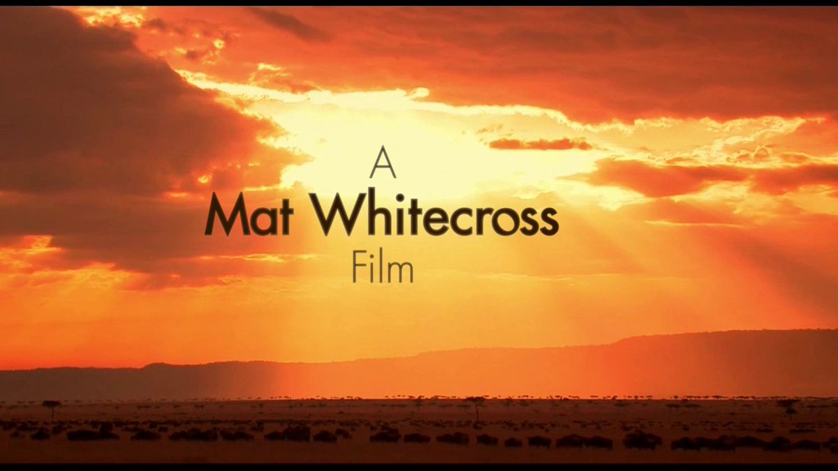 Coldplay paradise album. Paradise 2006 игра обложка. Coldplay paradise обложка. парадайз видео. парадайз видео.