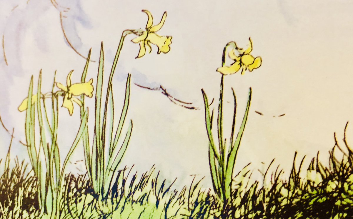 A_AMilne's tweet photo. ‘Daffodowndilly’
She wore her yellow sun-bonnet,
She wore her greenest gown;
She turned to the south wind
And curtsied up and down.
She turned to the sunlight
And shook her yellow head,
And whispered to her neighbour
“Winter is dead.”
~A.A.Milne #spring #hope #EverythingPasses https://t.co/mG3ZB40M78