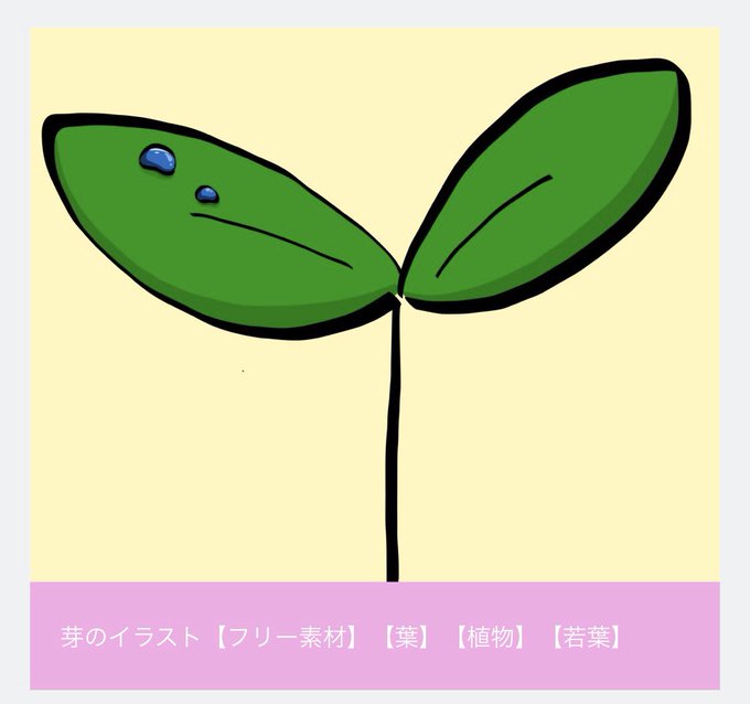 若葉のtwitterイラスト検索結果 古い順 若葉のtwitterイラスト検索結果 古い順