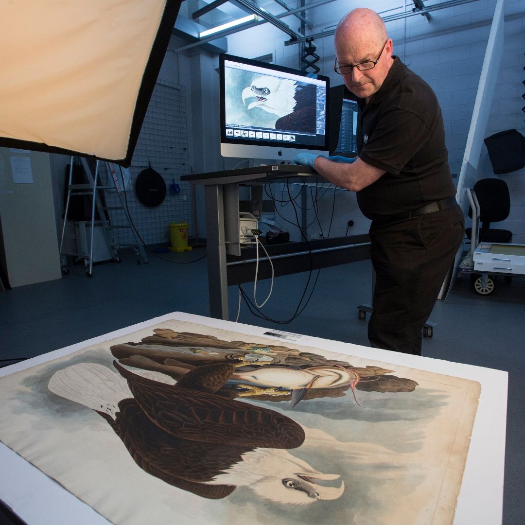 Have you visited Museum at Home yet? Our staff are continuing to share the wonder and inspiration of our collections, knowledge and expertise beyond our walls. Visit now: fal.cn/37fLM #MuseumAtHome #MuseumsVictoria #Digitisation