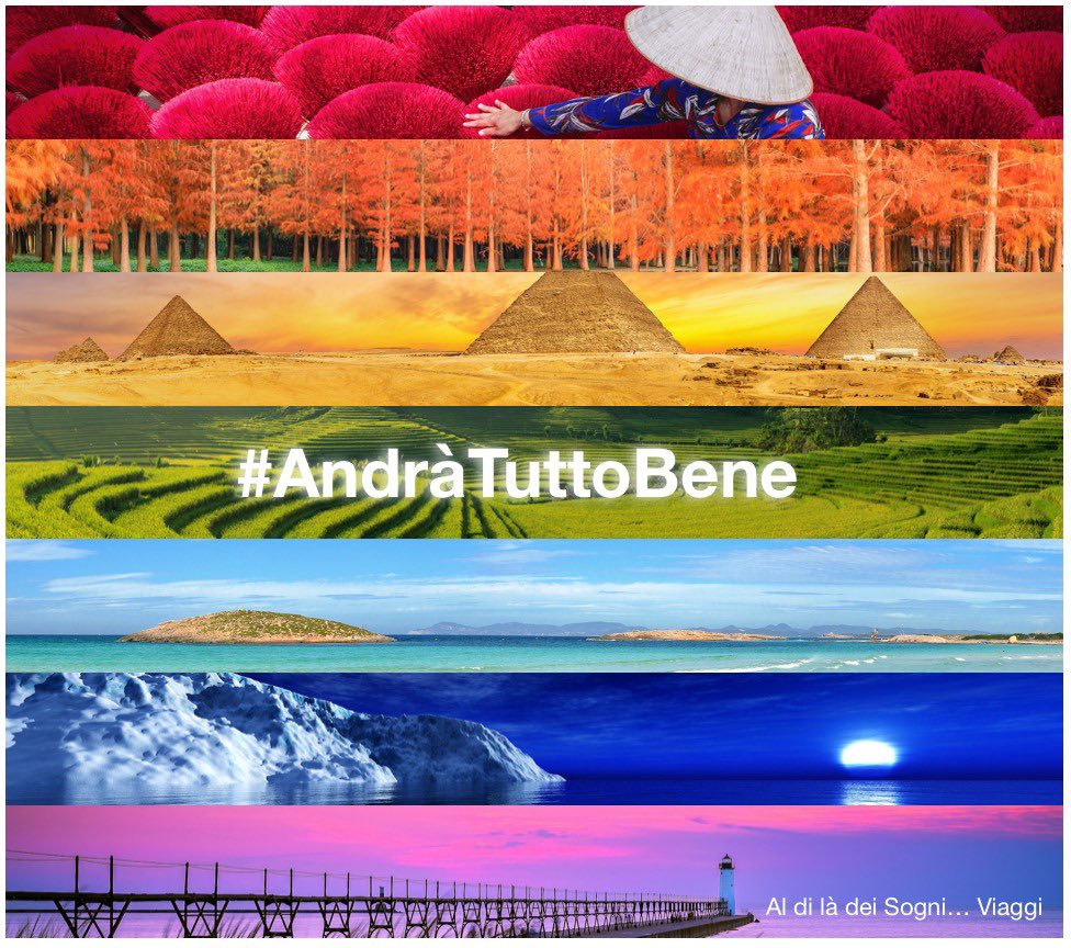 Alessandra Cattaneo tweet media