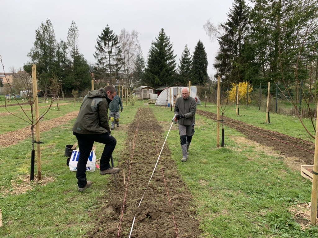 Dominique Hays (@domihays) on Twitter photo Sur l’Archipel nourricier la vie cherche à continuer grâce à une équipe #IAE réduite mais motivée, consciente de servir pour nous nourrir. Ici, plantation de parcelles de rhubarbe aux pieds des pêchers à <a href="/LoosenGohelle/">Loos-en-Gohelle</a> en @Infos_HDF. <a href="/reseaucocagne/">Réseau Cocagne</a> #PTCE Sur l’Archipel nourricier la vie cherche à continuer grâce à une équipe #IAE réduite mais motivée, consciente de servir pour nous nourrir. Ici, plantation de parcelles de rhubarbe aux pieds des pêchers à <a href="/LoosenGohelle/">Loos-en-Gohelle</a> en @Infos_HDF. <a href="/reseaucocagne/">Réseau Cocagne</a> #PTCE