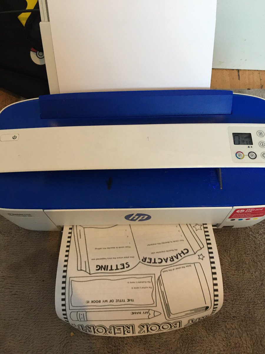 Heidi Trelfa tweet media