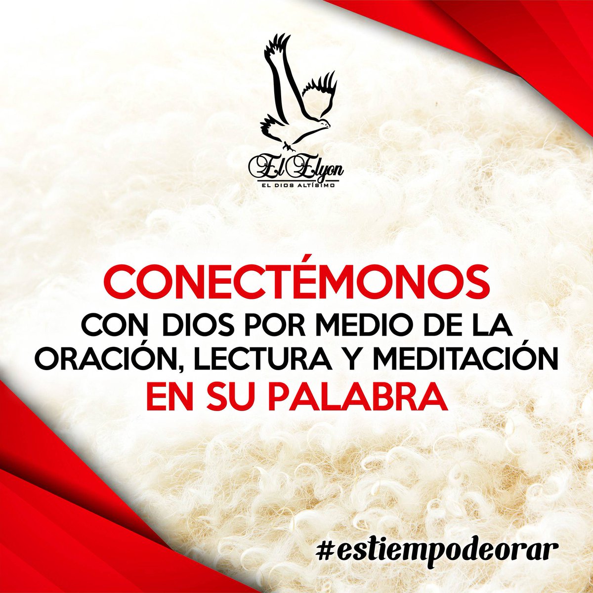 eldiosaltisimo1's tweet photo. "Conectémonos con Dios por medio de la oración, lectura y meditación en su palabra"
.
.
.
#Elyonmargarita #Dios #vivirlaBiblia #nuevapublicación #God #livetheBible #newpost #frasedeldía #phraseoftheday #Bible #Biblia #estiempodeorar #itistimetopray https://t.co/k49QSAm9UZ