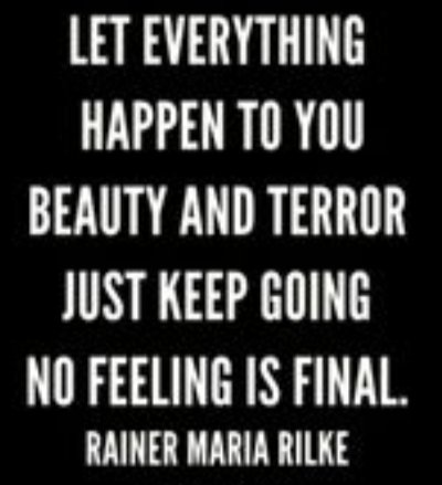 Alemseged Starling (@alemsegedstarl1) on Twitter photo 