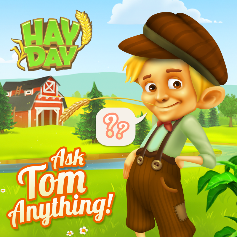 hayday's tweet photo. If you could ask Tom anything, what would you ask him? What are you curious about? https://t.co/qGSdGJa8BX