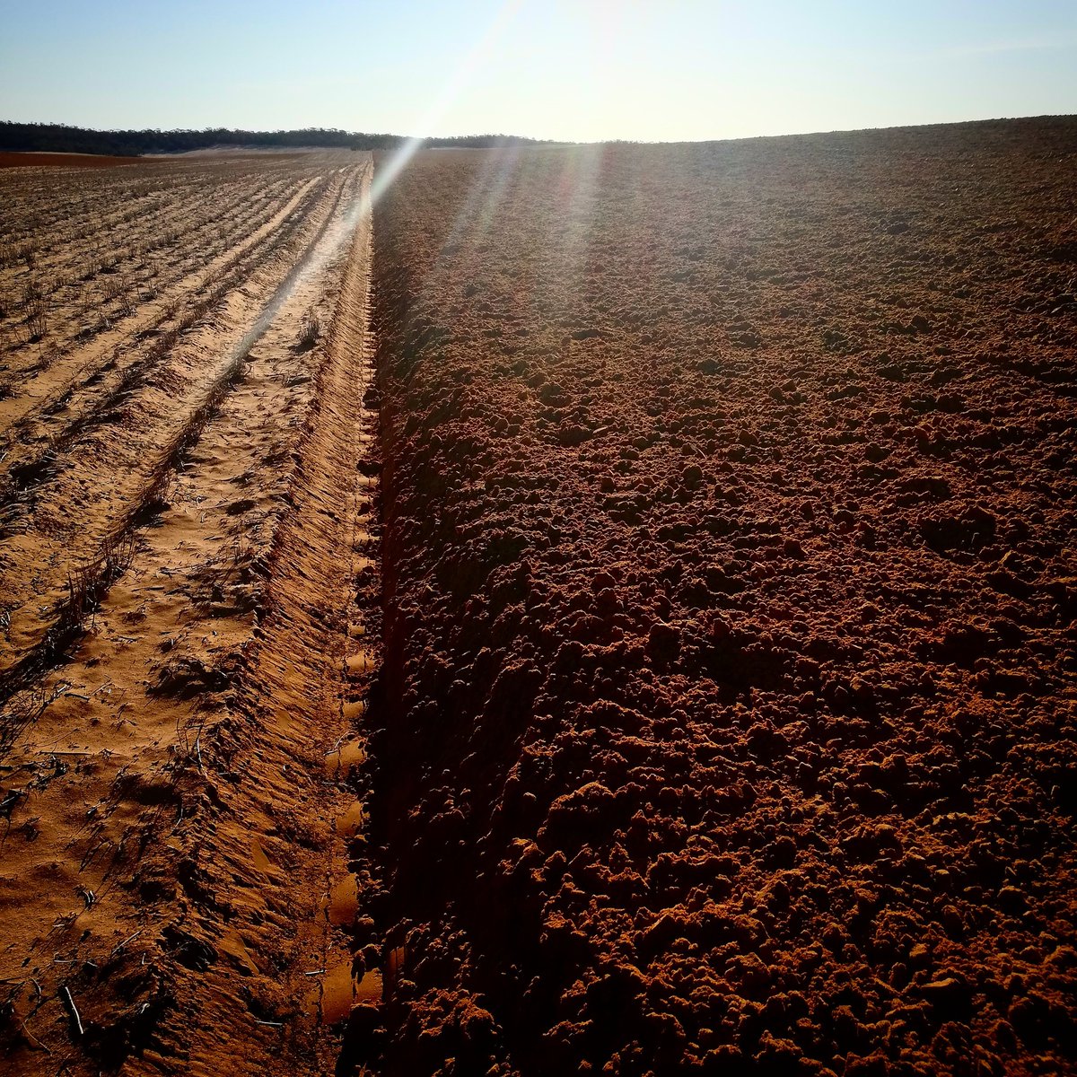 Eric Watzke tweet media