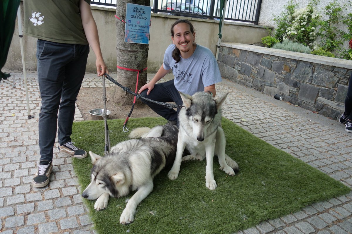 GoT_heritage's tweet photo. @GoT_direwolves need your help - Odin a.k.a. Summer needs treatment! https://t.co/6eyENTfQzc