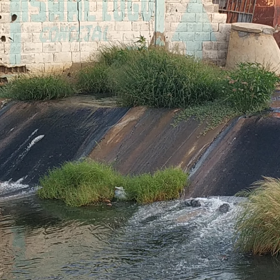 ReporteYa's tweet photo. #25Ma #Falcón #Denuncia  Aguas negras inundan sectores populares del oeste de Coro. Parcelamiento Cruz Verde. https://t.co/h9OntwtRTz - @elpiojolopez
