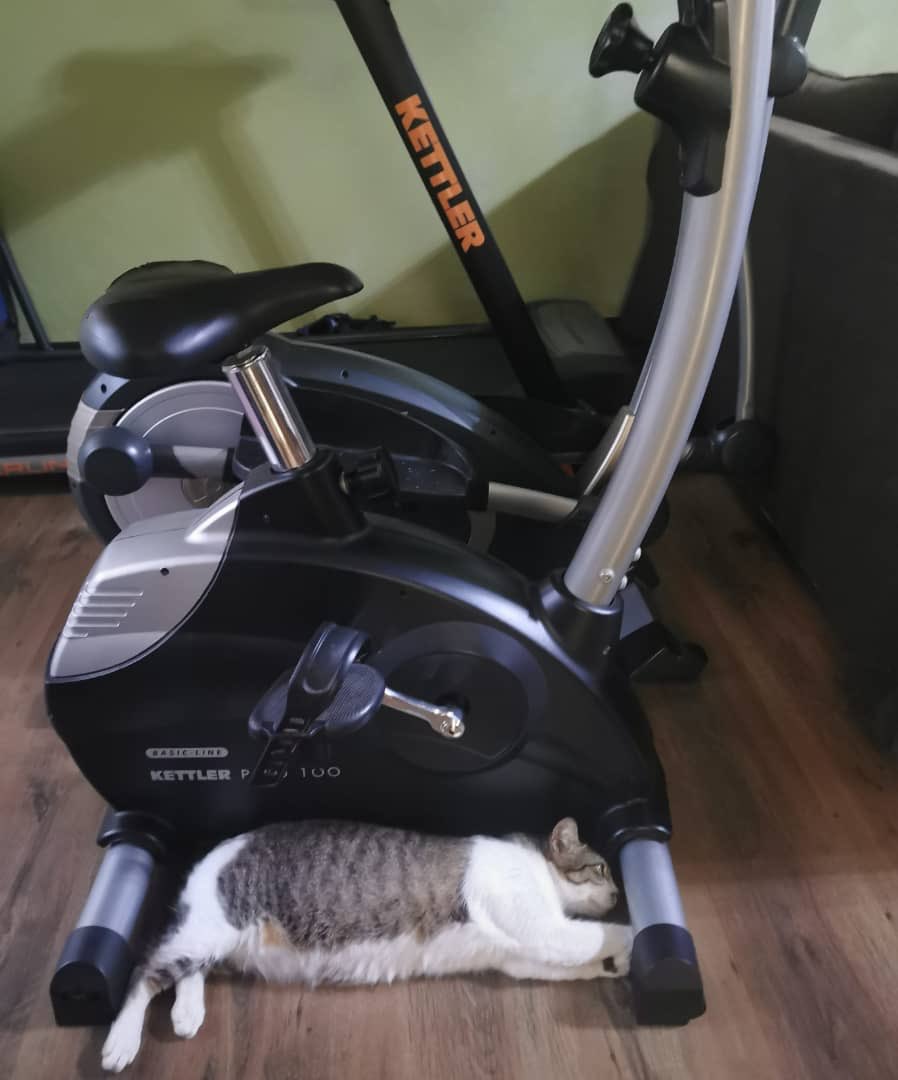 Adakah ajaran sesat dari gym instructor? I dont think that’s how one should exercise... <a href="/adibahnoor/">ADIBAH NOOR 🇲🇾😼</a>