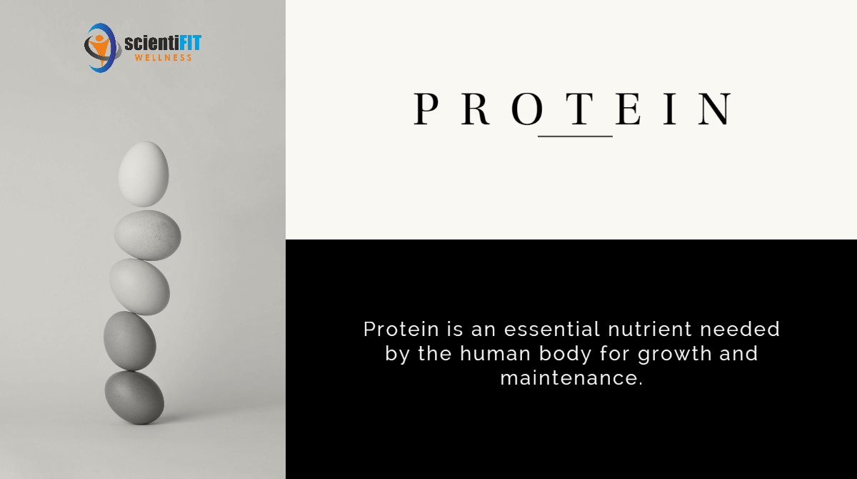 Scienti_FIT's tweet photo. Protein the basic building block of muscles and this is the most essential nutrient that a human body requires, however, diet, especially Indian diets are protein-deficient diets. contact us to make your diet plan nutritious and healthy. https://t.co/5RnpgHSVDf