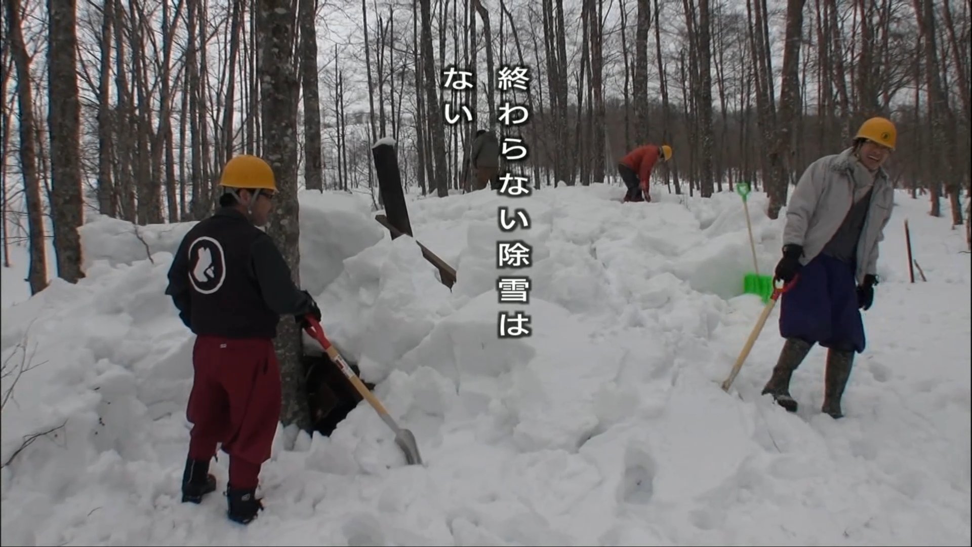 壁とか机とか على تويتر 道民の名言出ました 終わらない除雪はない 水曜どうでしょう T Co Dmfdin8ofd تويتر