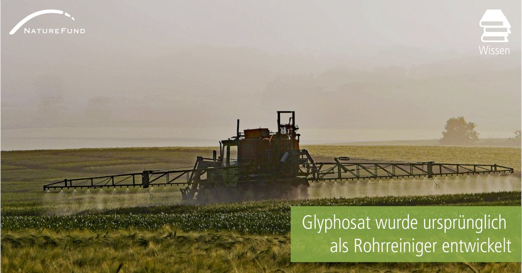 Naturefund's tweet photo. Wusstest du schon, dass #Glyphosat ursprünglich als chemischer #Rohrreiniger entwickelt wurde? Es zieht über die Blätter in die #Pflanze ein und hemmt den Stoffwechsel, wodurch die Pflanze abstirbt. Dabei reichert es sich in #Bodenschichten und im #Grundwasser an. https://t.co/joFaDLyfSG