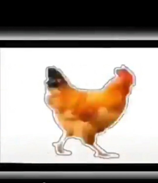 fafa🐣 tweet media