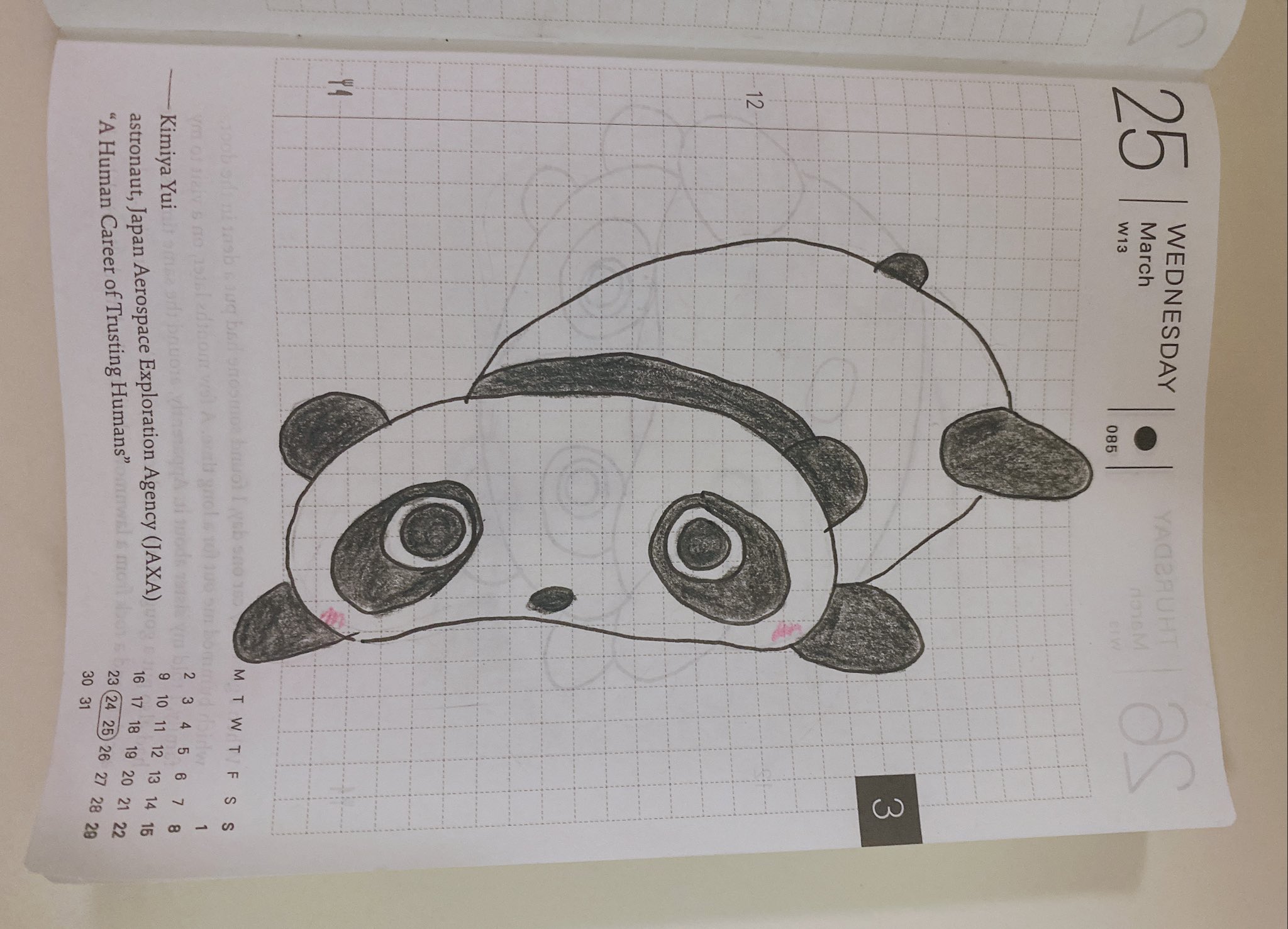 も W い 03 27の ぱんだもしゃもしゃ ほぼ日手帳 ほぼ日プランナー 1日1パンダ 埋もれてる子たれぱんだ T Co Dlbjghquis Twitter