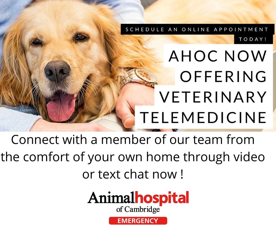 AHOC's tweet photo. https://t.co/6i5HydcbaU https://t.co/ZgBhNJIf35