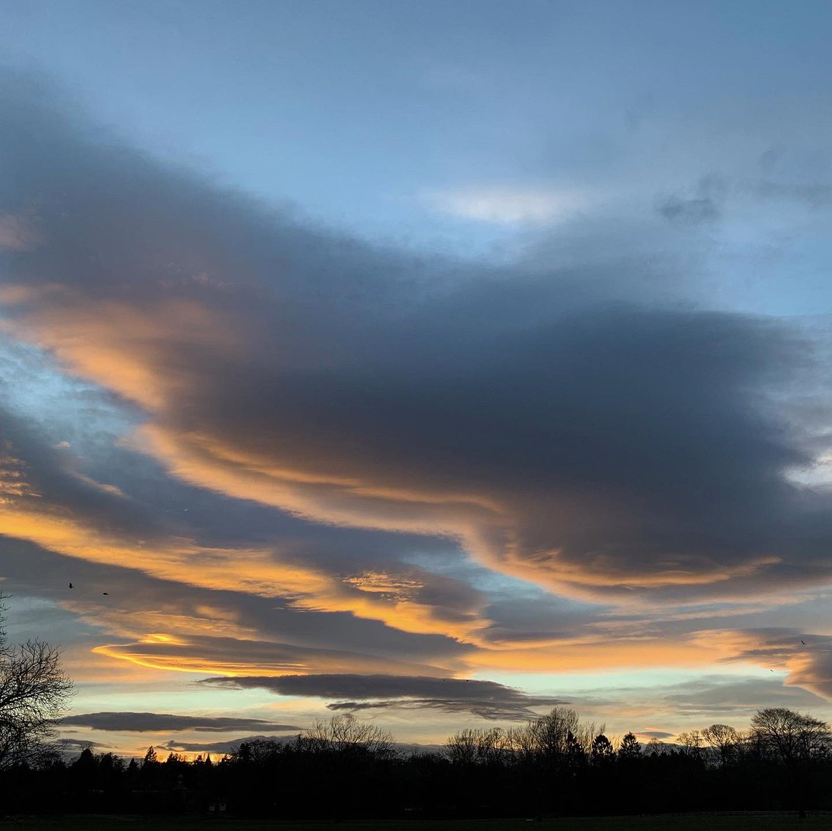 forestbathinguk's tweet photo. Isnβt the sky amazing? Beautiful colours, amazing patterns, and itβs always there for us. Even if the only thing you can do is to look out of the window up at the sky you will find relief. #forestbathinguk #forestbathing #connectinnature #thenatureremedy #lookup #COVID19 https://t.co/HFDqzsqhG3