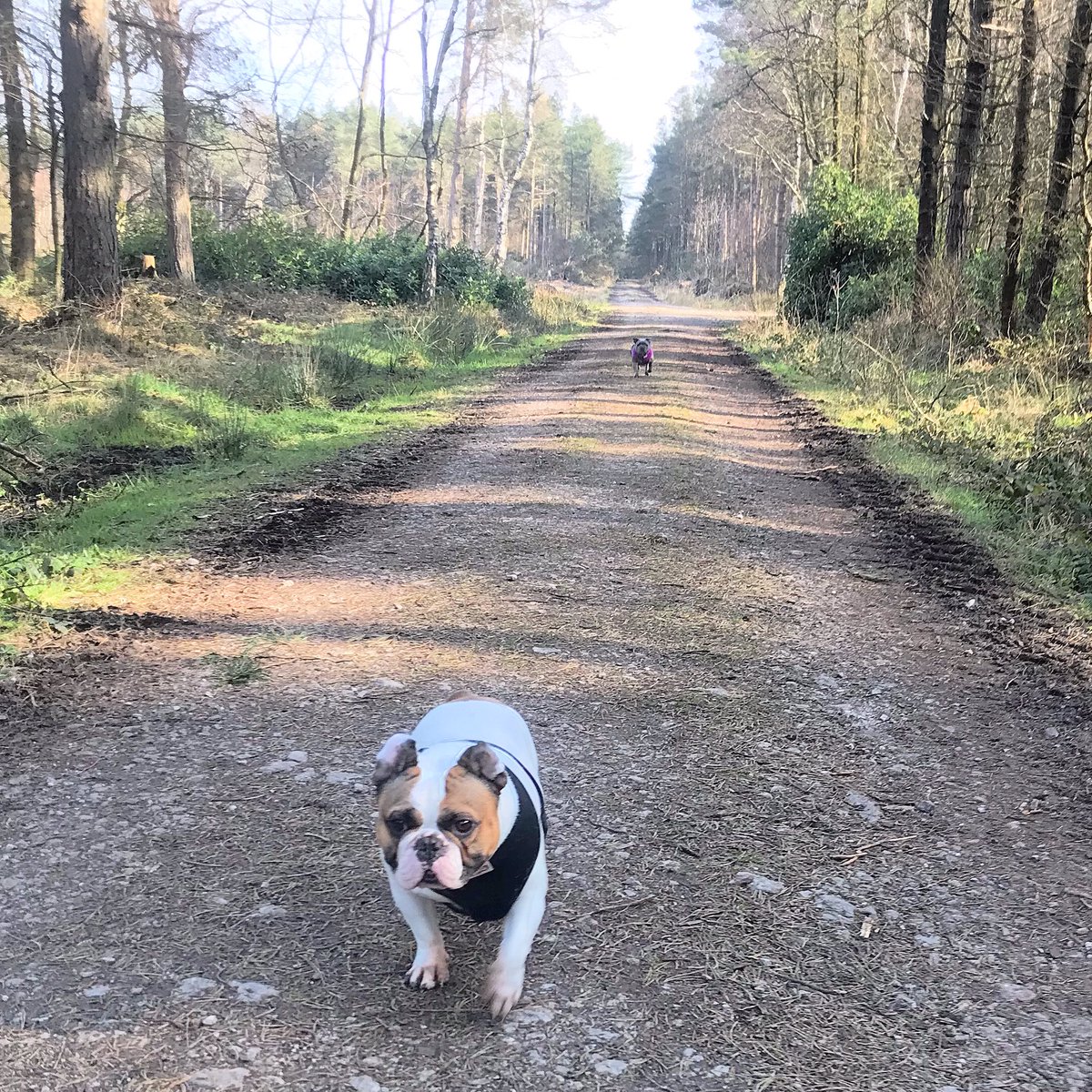 Ian McQueen tweet media