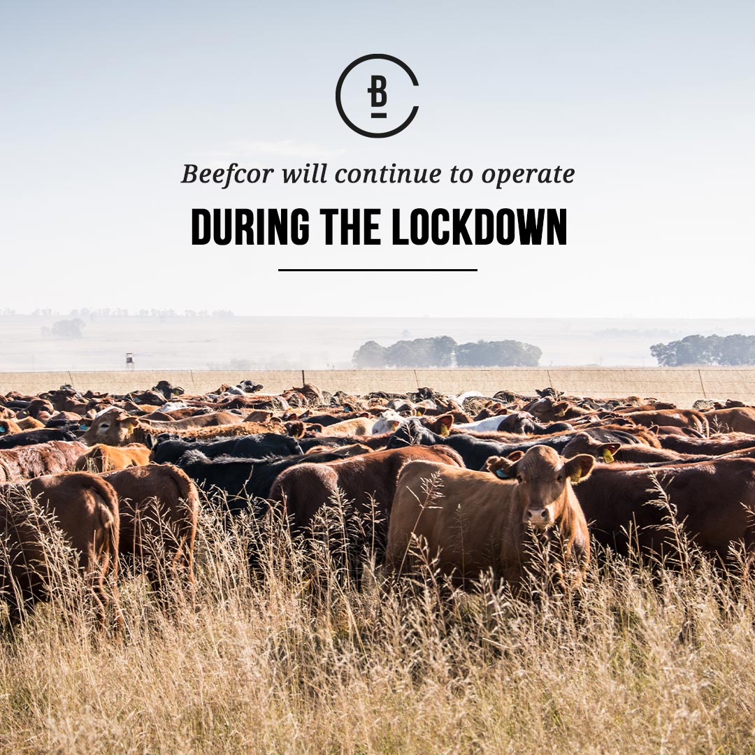 In accordance with President Ramaphosa’s address to the nation, Beefcor falls within Essential and Critical Business Continuity Services and therefore, will continue to operate during the lockdown period. Find out more here -> qoo.ly/3546jy
