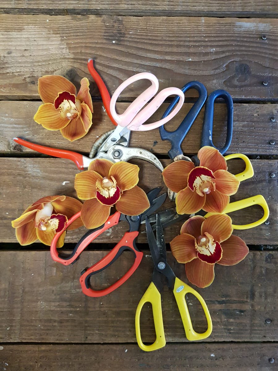 We are temporarily downing our tools, sadly, they will remain on the work bench for a little while.

We will keep you updated.
Please follow these guidelines: stay home, keep safe, keep well.

#keepsafe #covid_19 #flowers #henleyonthames #smallbusiness #keepcalm #seeyouagain