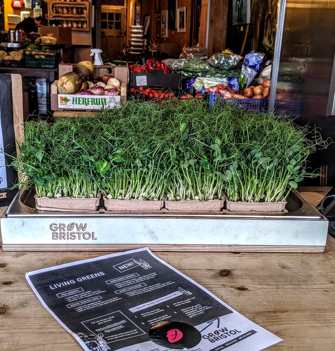 Our Cauldron Dispensary Webstore is now live... We have produce from @totalbristol <a href="/extractcoffee/">Extract Coffee</a> <a href="/thebristolloaf/">The Bristol Loaf</a> <a href="/Grow_Bristol/">Grow Bristol</a> 

Only available via contactless delivery using V-cars of Bristol! 

Boxes limited for this inaugural weekend! 

the-cauldron-dispensary.myshopify.com