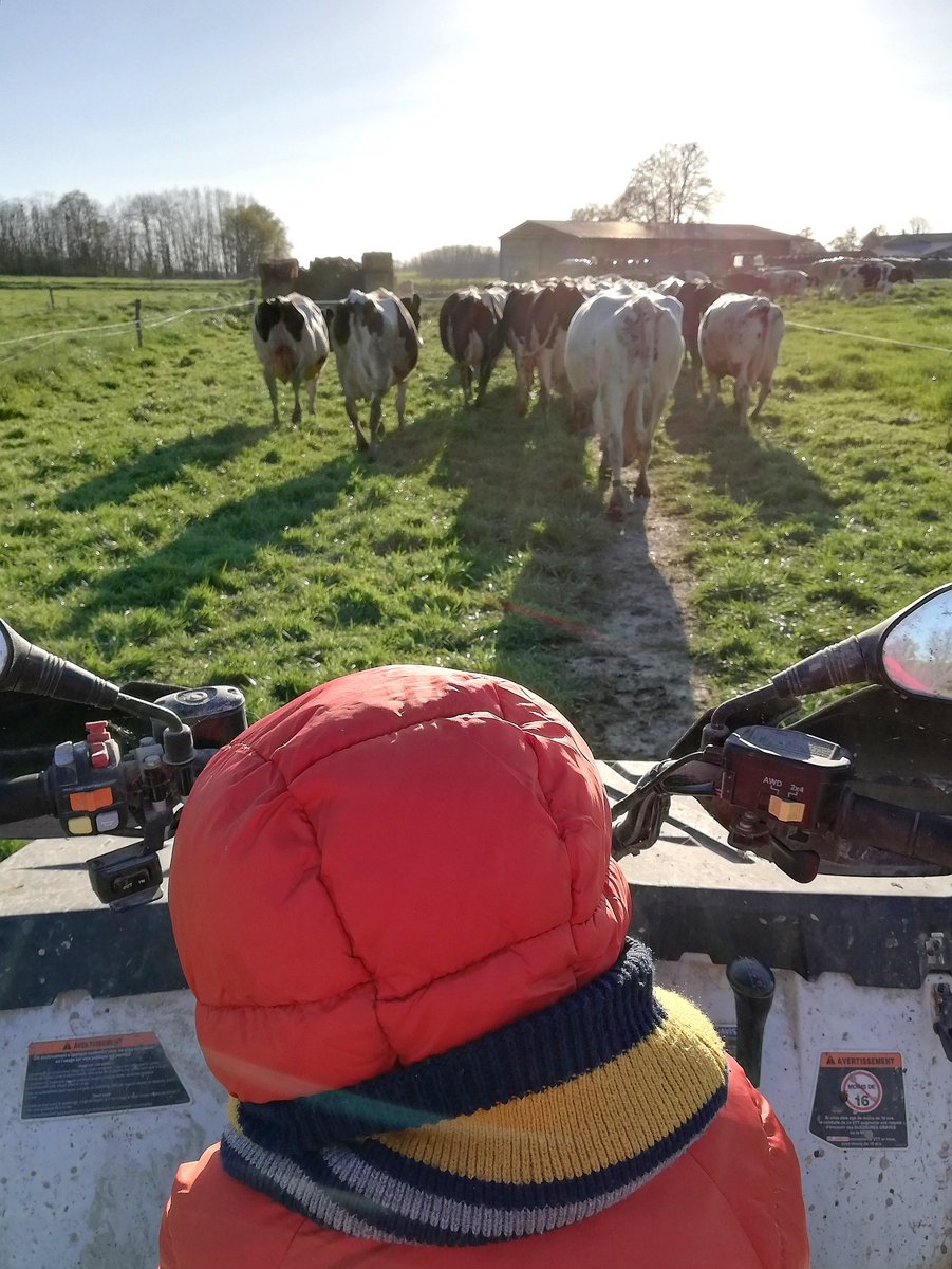 MariiineDev's tweet photo. Aller chercher les vaches au pâturage, meilleur confinement du monde.
Avec notre petit ouvrier. ✌🏻🐄
Pour du bon lait @C_qui_le_Patron et @groupeLSDH

#ceuxquinourrissent #agriculteurs #éleveurs #dubonlait #bonpourlasanté #mercilesagriculteurs #paturage #vacheslaitieres https://t.co/ZeAeoGCh5r