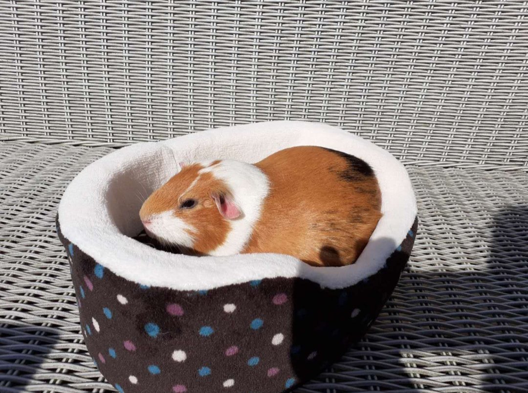 🌞