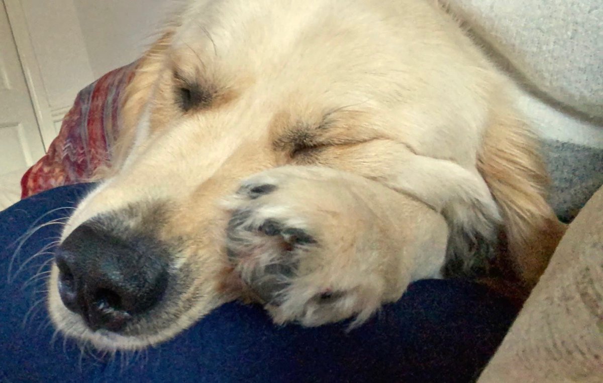 dixyliz's tweet photo. #StayatHome dreaming of going out? https://t.co/e8F7rgX1g7
