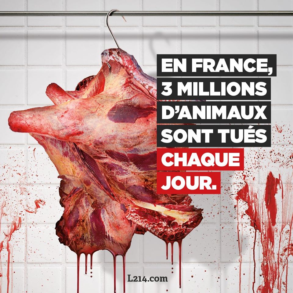 HumanSirk's tweet image. Salut !