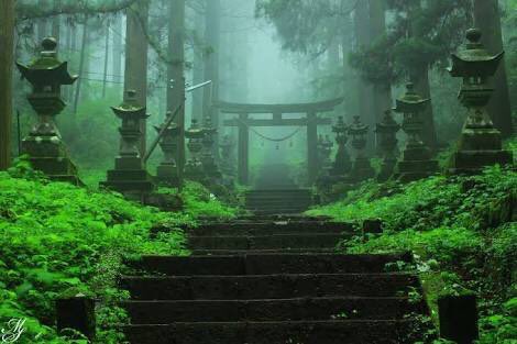神社とか好きな人は南阿蘇にある上色見熊野座神社には絶対に行ったほうがいい。まじで異世界