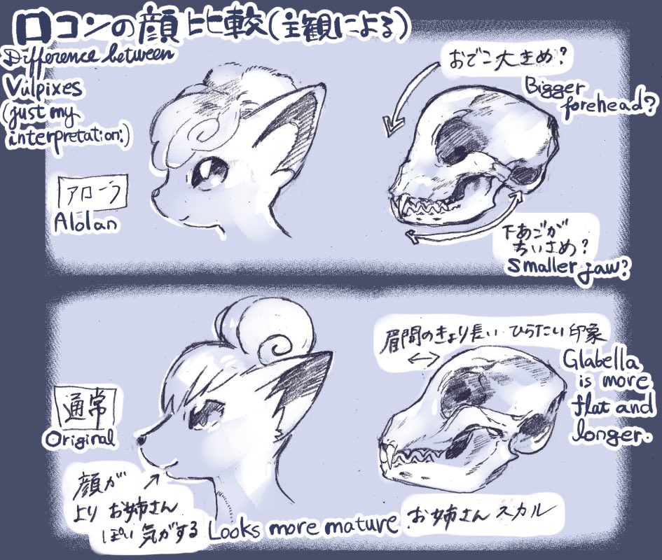 じんにくれーちぇ 1st単行本 海のそこ 発売中 V Twitter 通常ロコンとアローラロコンの顔がけっこう違って見える T Co Ogninpi6hh Twitter